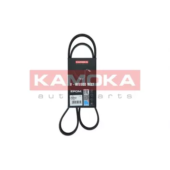 Courroie trapézoïdale à nervures KAMOKA 7016079