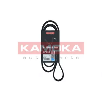 Courroie trapézoïdale à nervures KAMOKA 7016118