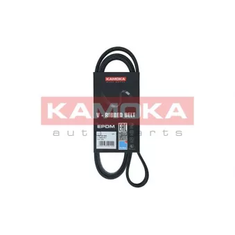 Courroie trapézoïdale à nervures KAMOKA 7016120