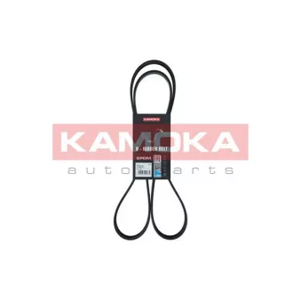 Courroie trapézoïdale à nervures KAMOKA 7016141