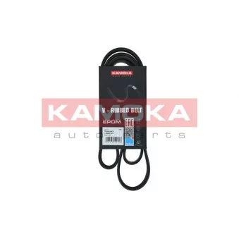 Courroie trapézoïdale à nervures KAMOKA 7016147
