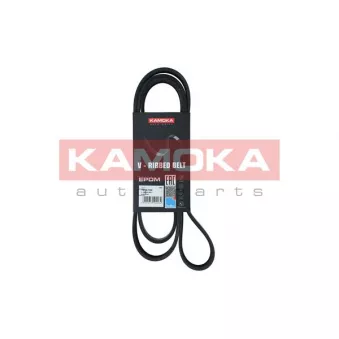 Courroie trapézoïdale à nervures KAMOKA 7016154