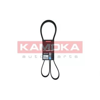 Courroie trapézoïdale à nervures KAMOKA 7016159