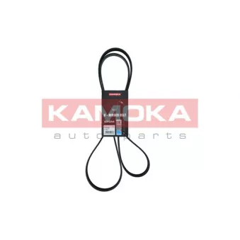 Courroie trapézoïdale à nervures KAMOKA 7016180