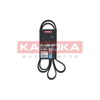 Courroie trapézoïdale à nervures KAMOKA 7016191