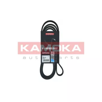 Courroie trapézoïdale à nervures KAMOKA 7016199