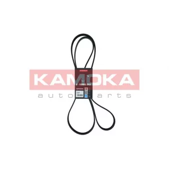 Courroie trapézoïdale à nervures KAMOKA 7016200