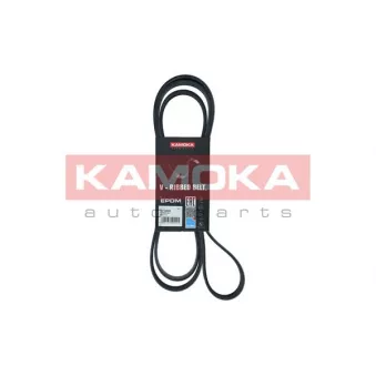 Courroie trapézoïdale à nervures KAMOKA 7016202