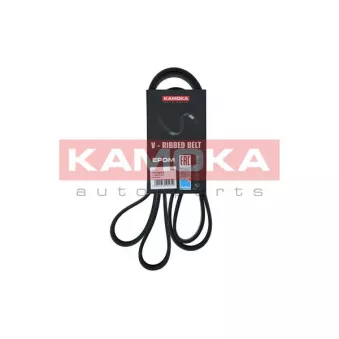 Courroie trapézoïdale à nervures KAMOKA 7016203