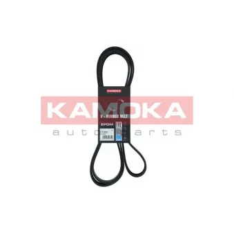 Courroie trapézoïdale à nervures KAMOKA 7016220