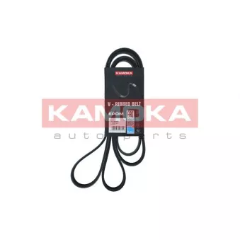 Courroie trapézoïdale à nervures KAMOKA 7016223
