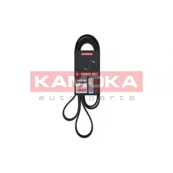 Courroie trapézoïdale à nervures KAMOKA 7016225