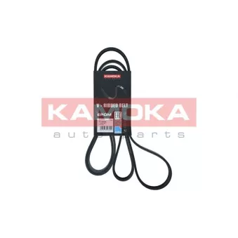 Courroie trapézoïdale à nervures KAMOKA 7016228