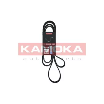Courroie trapézoïdale à nervures KAMOKA 7016242