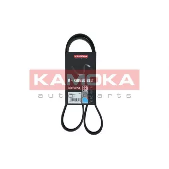 Courroie trapézoïdale à nervures KAMOKA 7017009