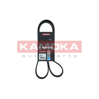 Courroie trapézoïdale à nervures KAMOKA 7017011