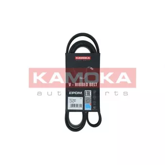 Courroie trapézoïdale à nervures KAMOKA 7017027