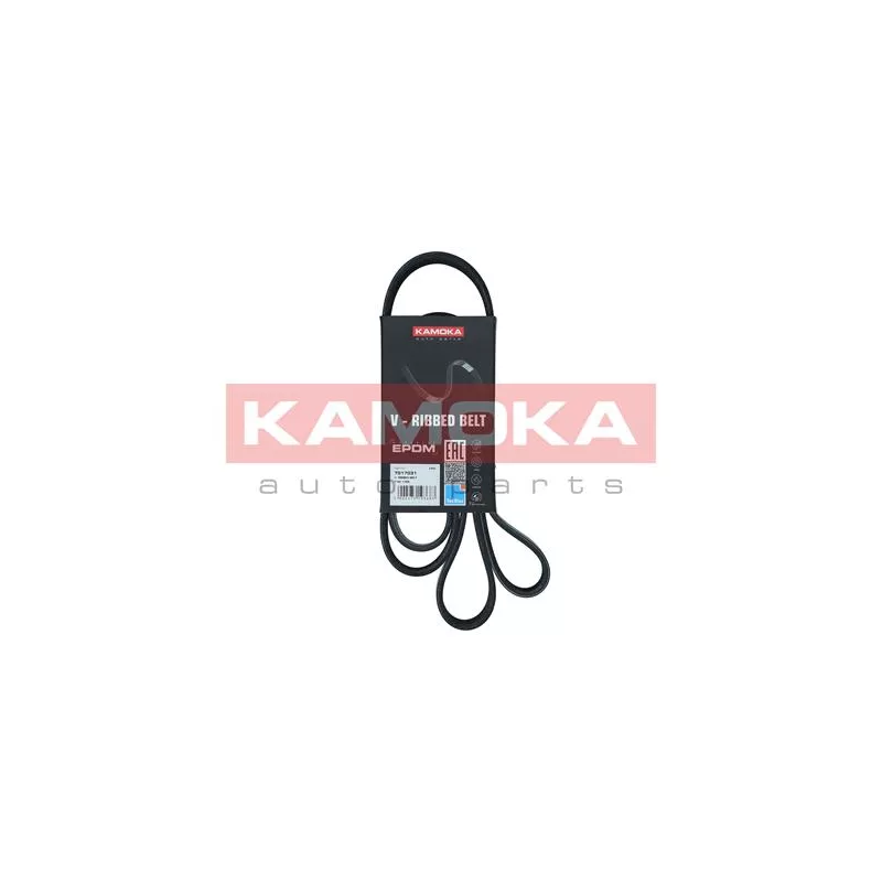 Courroie trapézoïdale à nervures KAMOKA 7017031