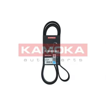 Courroie trapézoïdale à nervures KAMOKA 7017035