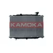 Radiateur, refroidissement du moteur KAMOKA 7700015 - Visuel 1