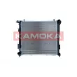 Radiateur, refroidissement du moteur KAMOKA 7700029 - Visuel 1