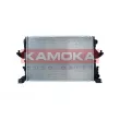 Radiateur, refroidissement du moteur KAMOKA 7700043 - Visuel 1