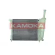 Radiateur, refroidissement du moteur KAMOKA 7705025 - Visuel 1
