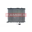 Radiateur, refroidissement du moteur KAMOKA 7705037 - Visuel 2