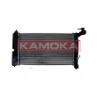 Radiateur, refroidissement du moteur KAMOKA 7705113 - Visuel 1