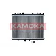 Radiateur, refroidissement du moteur KAMOKA 7705150 - Visuel 1