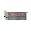 Radiateur, refroidissement du moteur KAMOKA 7705183 - Visuel 1