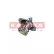 Thermostat, liquide de refroidissement KAMOKA 7710042 - Visuel 1