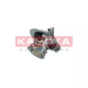 Thermostat, liquide de refroidissement KAMOKA 7710043