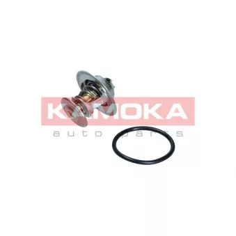 Thermostat, liquide de refroidissement KAMOKA 7710047
