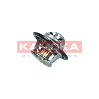 Thermostat, liquide de refroidissement KAMOKA 7710052