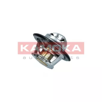 Thermostat, liquide de refroidissement KAMOKA 7710053