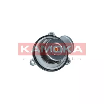 Thermostat, liquide de refroidissement KAMOKA 7710086