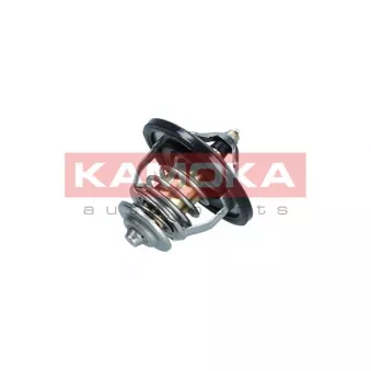 Thermostat, liquide de refroidissement KAMOKA 7710099