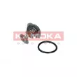 Thermostat, liquide de refroidissement KAMOKA 7710147 - Visuel 1
