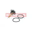 Thermostat, liquide de refroidissement KAMOKA 7710175 - Visuel 1