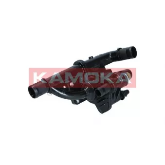 Thermostat d'eau KAMOKA 7710198