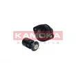 Thermostat, liquide de refroidissement KAMOKA 7710257 - Visuel 1