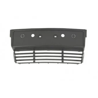Support de plaque d'immatriculation BLIC 6509-01-0057920P