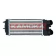 Intercooler, échangeur KAMOKA 7750049 - Visuel 1