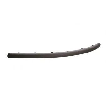Baguette et bande protectrice, pare-chocs avant droit BLIC 6509-01-0109921P