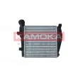 Intercooler, échangeur KAMOKA 7750067 - Visuel 1