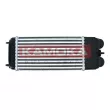 Intercooler, échangeur KAMOKA 7750068 - Visuel 2
