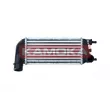 Intercooler, échangeur KAMOKA 7750138 - Visuel 1
