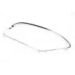 Grille de ventilation, pare-chocs BLIC 6509-01-2565920P - Visuel 2