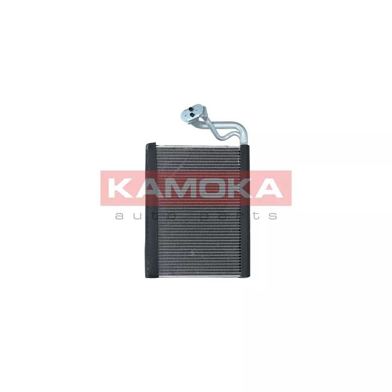 Évaporateur climatisation KAMOKA 7770045